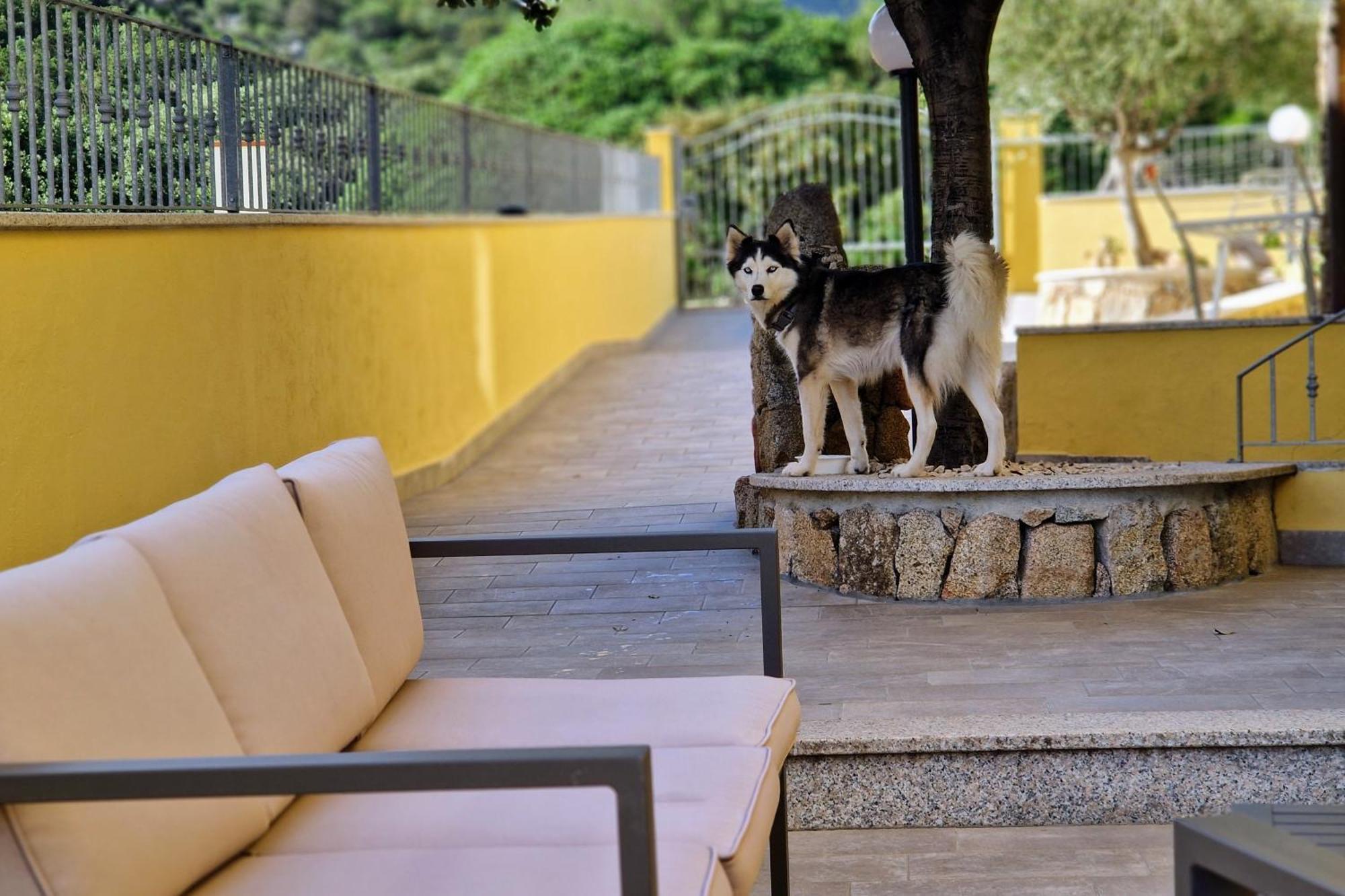 Sa Mamma E Sole B&B Cala Gonone Exteriér fotografie